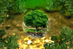 CERTIFICAZIONI AMBIENTALI